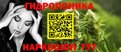 ешки Ставрополь