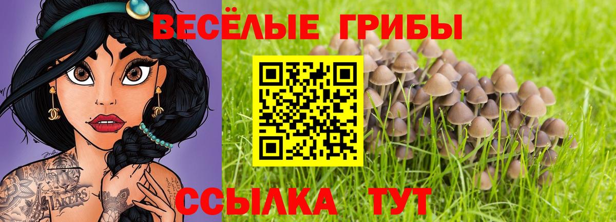 Псилоцибиновые грибы Psilocybine cubensis Отрадный