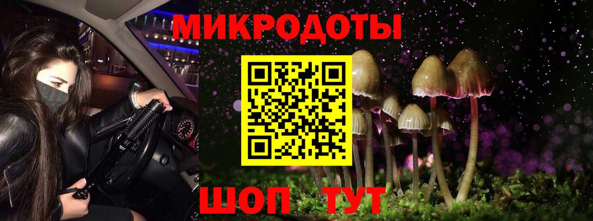 Галлюциногенные грибы мухоморы  Галлюциногенные грибы Psilocybine cubensis  Вход с VPN  купить наркотики цена  Отрадный 